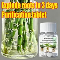 Farienne 100pcs Hydroponic Plant Water Purification Tablets 40G - Lucky Bamboo Root Booster & Cut Flower Fresh-Keeping