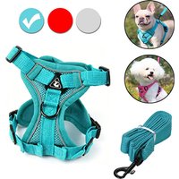 2pcs Fashionable Reflective Cat Harness and Leash Set - Breathable Mesh Pet Harness, Suitable for Small Dogs and Cats