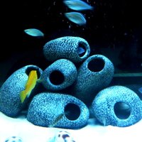 1pcTilapia can, ceramic pot, special-shaped Lake Malawi fish tank, aquarium stones, cave scenery, cichlid aquarium decoration