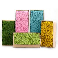 Artificial Green Plants Mini Landscape Eternal Life Moss Grass Fake Grass DIY Crafts Home Living Room Garden Decoration