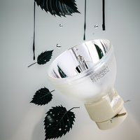 High quality bare lamp P-VIP 210/0.8 E20.9n projection lamp VIP 210W E20.9