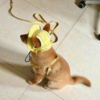 Summer Pet Cat Sun Hat Cute Kitten Fisherman Hat UV Protection Sun Hat