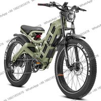 Pro 48v 60ah Custom Motor Power Electric Bike Big Hybrid Electrica Bicycle Long Range Eu Warehouse Camping Ebi
