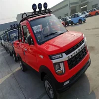 JIAKUMA Heavy Duty Mini Cargo Car Adult High Speed Pickup With Multi Functions