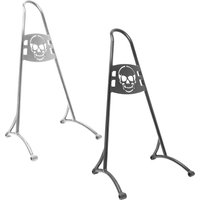 23" Tall Passenger Sissy Bar Backrest Compatible with Harley Sportster Iron Low 883 1200 XL Forty-Eight Nightster Roadster 2004