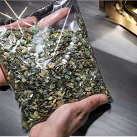 100g Abalone Shell Fragments – Smooth New Zealand Natural Shell Nail Art Accessories for a Unique and Elegant DIY Manicure Look