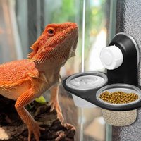 Food Bowl Water Dispenser Gecko Food Dish Reptile With 4 Cups Ledge Accessories Tray For Tarantula Frog Lizard Chameleons Hermit