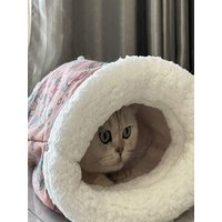Creative Plush Cat Sleeping Bag Cartoon Thickened Cat Cave Bed Winter Warm Pocket Type Pet Snuggle Sack Pet Supplies