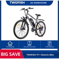 AliExpress Touroll TWOFISH TF-1 Electric Bike, 250W 36V 15Ah Battery, 26