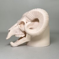 Trailer Head Hitch Off-road Vehicle Accessories 3d Printed Ram Skull Trailer Coupling Cover Cap Black White Bone Design Truck