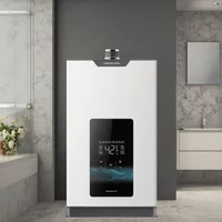 China Wholesale Custom Standard 10L 20L Flue Type Stainless Steel Instant Tankless LPG Gas Geyser Natural Hot Water Household