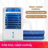 Water Cooling Mattress Summer Cooling Pad for Dorm and Home Use Single Bed Ice Mat