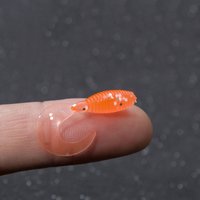 10pcs roll Tail Soft Lures Silicone Bait 30mm 0.4g Goods For Fishing Sea Fishing Swimbait Wobblers Artificial Tackle Soft Bait