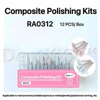 Composite Material Polishing Kit Ra0312 for Low-Speed Grinding and Polishing, Light-Curing Resin Polishing