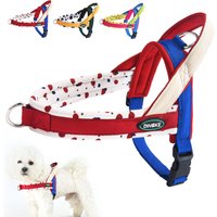 Fashion Pattern No-Pull Dog Harness, Escape Proof Soft Padded Vest with Handle for Small Medium Dogs, Breathable Mesh Outdoor