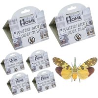 6pcs Moths Pheromone Killer Sticky Moth pheromone Trap Clothes Ecofriendly Pantry Food Sticky Glue Trap Reject Fly