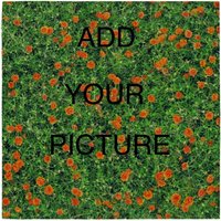 50PC ACTORY DIRECT SALES 2025 Custom silk scarf for Mother’s Day gift Silky Touch Polyester Double-sided Printing