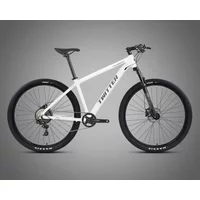 AliExpress TWITTER TW3900XC 24S / 30Speed Hydraulic disc brakes MTB XC class Lightweight aluminum alloy mountain bike bicicletas велосипед