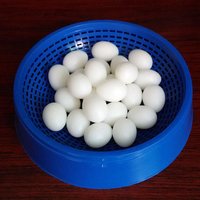 Dove Lifelike Parakeet Solid Pigeon Accessories Aviculture Tools Fake Eggs Simulation