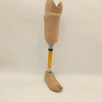 Lightweight artificial leg kit (including prosthetic foot) for below-knee amputation, stainless steel prosthetic components