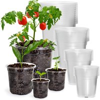 36 Packs 6.7/5/4/3.5 Inch Reinforced Clear Nursery Pots with Drainage Hole, Transparent Variety Pack Plastic Plant Pot Seedling