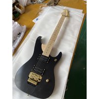 6 Strings Electric Guitar with Gold Hardware,Maple Fretboard,Provide customized service