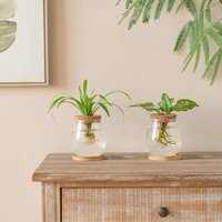Transparent Hydroponic Flowerpot with Wooden Tray Glass Plant Propagation Station Decorative Mini Terrarium Office Decor