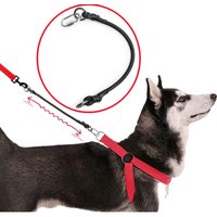 Dog Leash Extend Leashes Rope Elastic Dogs Leash 45cm Extension Leashes for Dog Walking Safety Pet Chain Ropes Pet Accessories