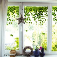 1pc Ivy Vine Theme Wall & Window Decal,Self-Adhesive Decorative Sticker,Suitable for Doors,Windows,Bedroom, Living Room, Balcony