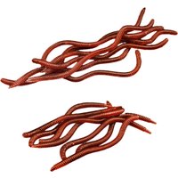 20 Pcs Artificial Earthworm Fishing Bait 8 Cm 10 Cm Simulated Earthworm Soft Bait Predator Soft Lures Earthworm Fake Bait Set