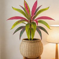 45cm 17Leaves Artificial Dracaena Plants Fake Palm Tree Plastic Tropical Croton Plant Cycas Tree Branch For Home Garden Decor