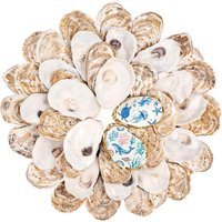 Small Flat Oyster Shells for Crafts Cleaned Natural Oyster Shells for Painting Wedding DIY Decor Coastal Christmas Seashells Art