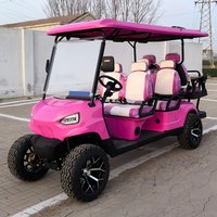 Customize 6 Person Seat 48/60/72V Lead-Acid/Lithium Battery Folding off-Road Electric Golf Carts electric car seat golf buggy