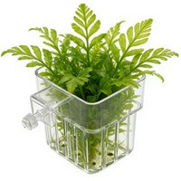 Transparent Hangable Aquarium Plant Holder Pot for Fish Tank Hydroponic System Pressure resistant Decor Cultivation Decoration