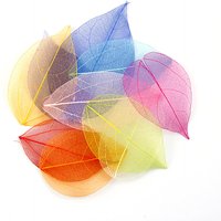 Dried Flowers Natural Skeleton Leaf Vein DIY Handmade Materials Nail Art Flowers Material for Wedding Party Home Decor-20/24pcs