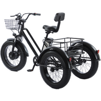 Fat Bike Elektrofahrrad 20 Zoll Schnee Leistungsstarker Mann 48 V 500 W Elektro-Lasten-Dreirad mit Beifahrersitz für ältere Erwachsene