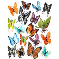 AliExpress Oenux Insect Animals Model Monarch Actias Ningpoana Swallowtail Butterfly Growth Cycle Garden Figurine Education Kid Toy Gift