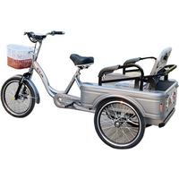 Electric Tricycle Adults Cargo For The Elderly With Passenger Seat 48V Family Electric City Bike With Basket Removable Battery