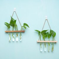 Hydroponic Plant Test Tube Glass Wall Vase Hanging Wooden Hanging Hemp Rope Flower Stand Wall Decoration for Home Decor Gifts