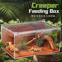 Seamless Transparent Preassembled Reptile Habitat Tank For Hermit Crab Frog Gecko Scorpion Snake Tabletop Home Display For Kids