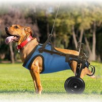 Dog Wheelchair for Hind Leg Paralysis Lightweight Mobility Aid with Hind Leg Support Rehabilitation & Daily Use Trolley