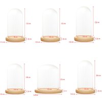 Clear Dome With Wooden Base Tabletop Display Glass Cover Dry Flower Ornaments Craft Dust Bell Jar Terrarium Landscape Vase