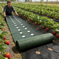 Perforated Weed Barrier Fabric Kit, 0.8 m wide with two holes per row