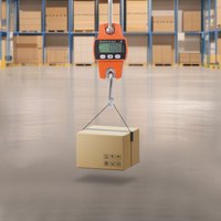 660lb Digital Hanging Scale with Cast Aluminum Case, Handheld 300Kg Mini Crane Scale for Farm Hunting Fishing Outdoor