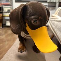 Dog Silicone Duck Muzzle For Wiener Sausage Dogs Anti Bite Stop Barking Small Mid Big Dog Mask Safe Adjustable Mouthpiece Cover