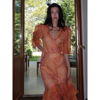 Women Orange Paisley Print Maxi Dress V Neck Ruffle Trim Short Sleeve Belted Slit Hem Elegant Party Vacation Summer Fashion