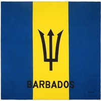 Hip Hop Bandana Barbados Flag Men Women Outdoor Sports Headband Hair Band Wrist Wraps Hair Scarves 100% Cotton Hair Accessories