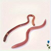 Kingdom Soft Worm Fishing Lure, Artificial Slow Sinking Bait - Seawurm and Simulated Insect Model
