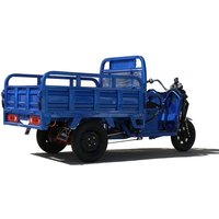 2025 New 800-1000W Cargo Electric Trike Multifunction Sanbengzi 3 Wheel Electric Tricycle Bike for Adults