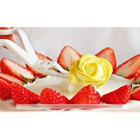 5 inch Cake Flower Lifter for Cupcake Decoration - Easy Transfer Tool